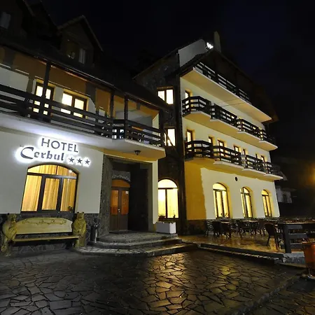 Cerbul Hotel Statjunea Borsa