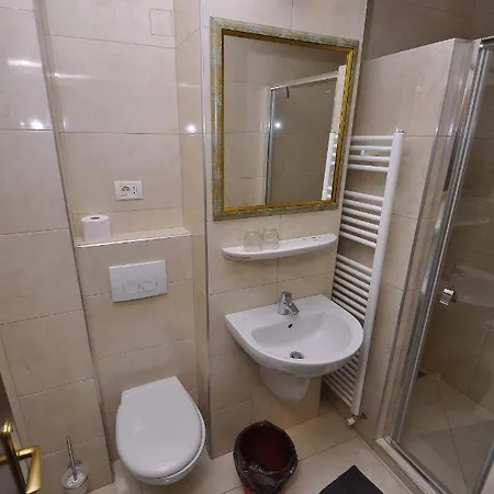 Cerbul Hotel Statjunea Borsa